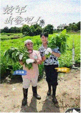 影迷头像
